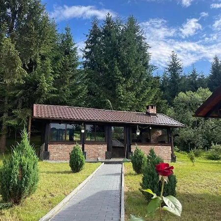 Cabana Iulia Holiday home *